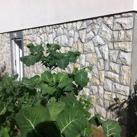 Apartments With A Parking Space Zaglav, Dugi Otok - 11924 Zaglav